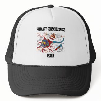 Primary Consciousness Inside (Neuron / Synapse) hat