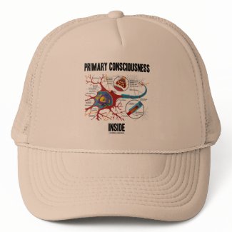 Primary Consciousness Inside (Neuron / Synapse) hat