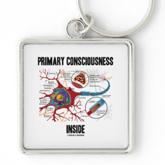 Primary Consciousness Inside (Neuron / Synapse) keychain