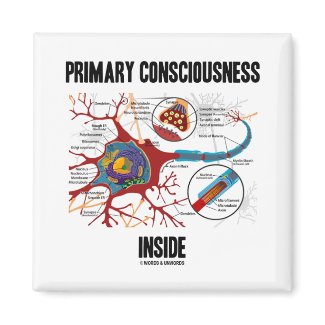 Primary Consciousness Inside (Neuron / Synapse) magnet