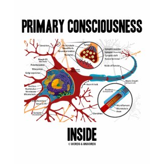 Primary Consciousness Inside (Neuron / Synapse) shirt