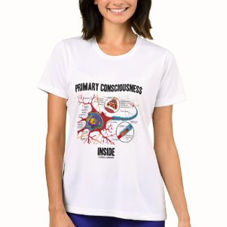 Primary Consciousness Inside (Neuron / Synapse) shirt