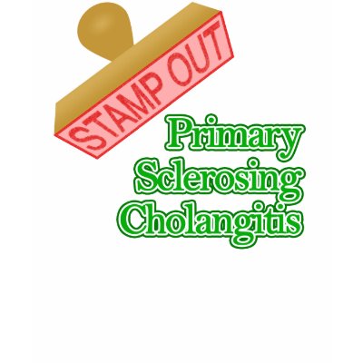 Primary Sclerosing Cholangitis T Shirt by shopaholicchick