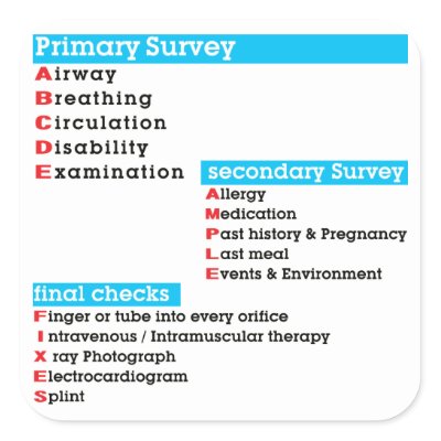 Primary Survey