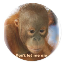 Primate Endangered Species stickers
