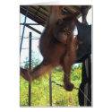 Primate Potty Break cards by Rebecca_Reeder Primate Potty Break cards