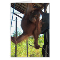 Primate Potty Break cards by Rebecca_Reeder Primate Potty Break cards