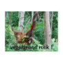 Primate Vegetarians Rock ! Postcard