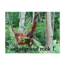 Primate Vegetarians Rock ! postcards by Rebecca_Reeder Primate Vegetarians Rock ! postcards