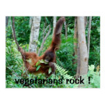 Primate Vegetarians Rock ! Postcard