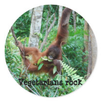 Primate Vegetarians Rock ! Round Sticker