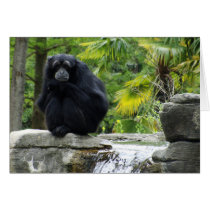 Primate & Waterfall Greeting Cards