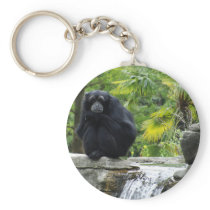 Primate & Waterfall Key Chains