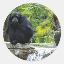 Primate & Waterfall Round Sticker