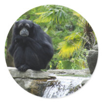Primate & Waterfall Round Sticker