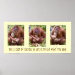 Primates & Peanuts: the secret to success posters