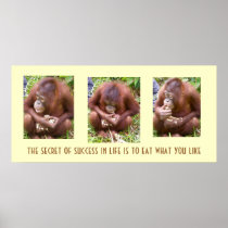Primates & Peanuts: the secret to success Posters