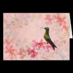 Primavera Rosa Card cards