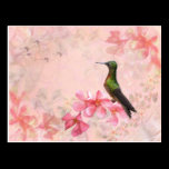 Primavera Rosa Postcard postcards