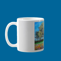 Primavera Tejas Mug mugs