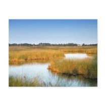 Prime Hook Wildlife Refuge postcards