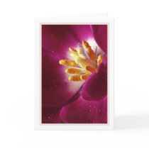 Prime of Life cards by nighty Prime of Life cards