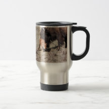 Primer paso tazas de café