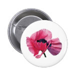 Primer rosado de la amapola pin