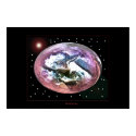 Primoral  posters