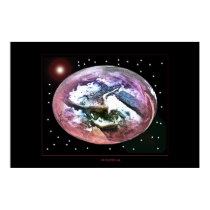 Primoral  posters