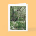 Primordial Landscape Greeting Card by donnabellas Primordial Landscape Greeting Card