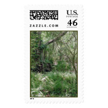 Primordial Landscape Stamp