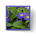 Primrose Blue Flowers buttons by CaroleArt Primrose Blue Flowers buttons
