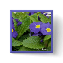Primrose Blue Flowers buttons