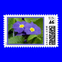 "Primrose Blue" postage