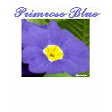 "Primrose Blue" Tshirt by CaroleArt "Primrose Blue" Tshirt