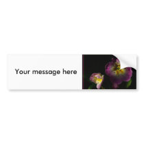 Primrose bumper stickers
