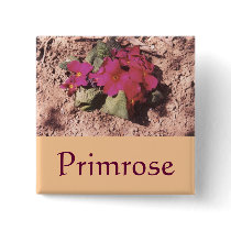 Primrose buttons