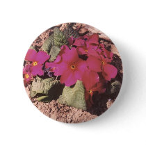 Primrose buttons