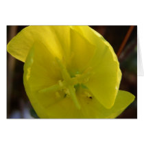 Primrose Flower Card