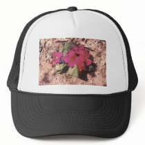 Primrose hats