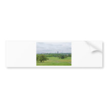 Primrose Hill London Bumper Stickers