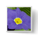 "Primrose Painted Blue" Pin buttons by CaroleArt "Primrose Painted Blue" Pin buttons