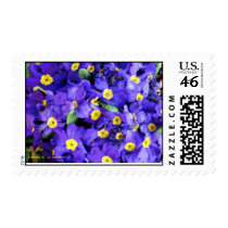 'Primrose' postage