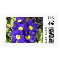 Primrose postage by JLWinther Primrose postage
