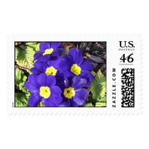 Primrose postage