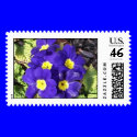 Primrose postage