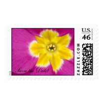 Primrose Postage Stamp