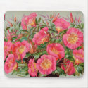 Primrose Seed Packets Mousepad