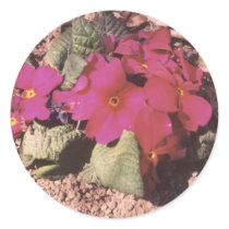Primrose stickers